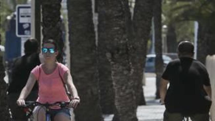 La Policía Local tendrá acceso a un censo de bicis para facilitar su  búsqueda en caso de robos - Información