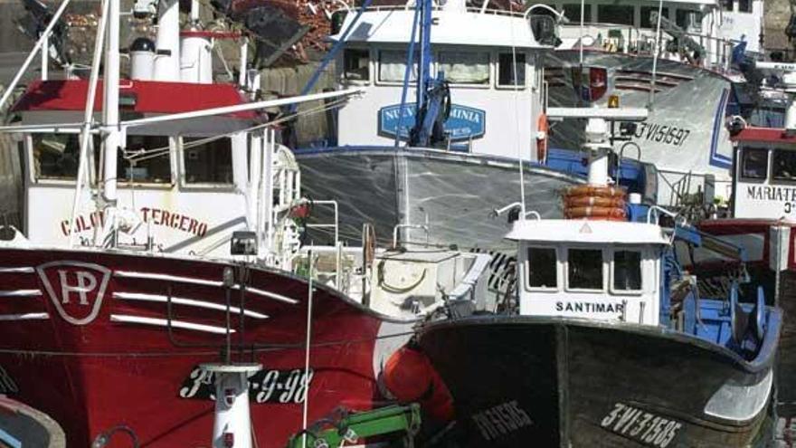 Buques de bajura en el puerto pesquero de Vigo.