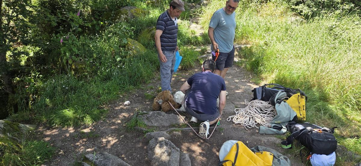 El perrito, sano y salvo tras ser rescatado por los miembros del GREIM y del Seprona de Trives.
