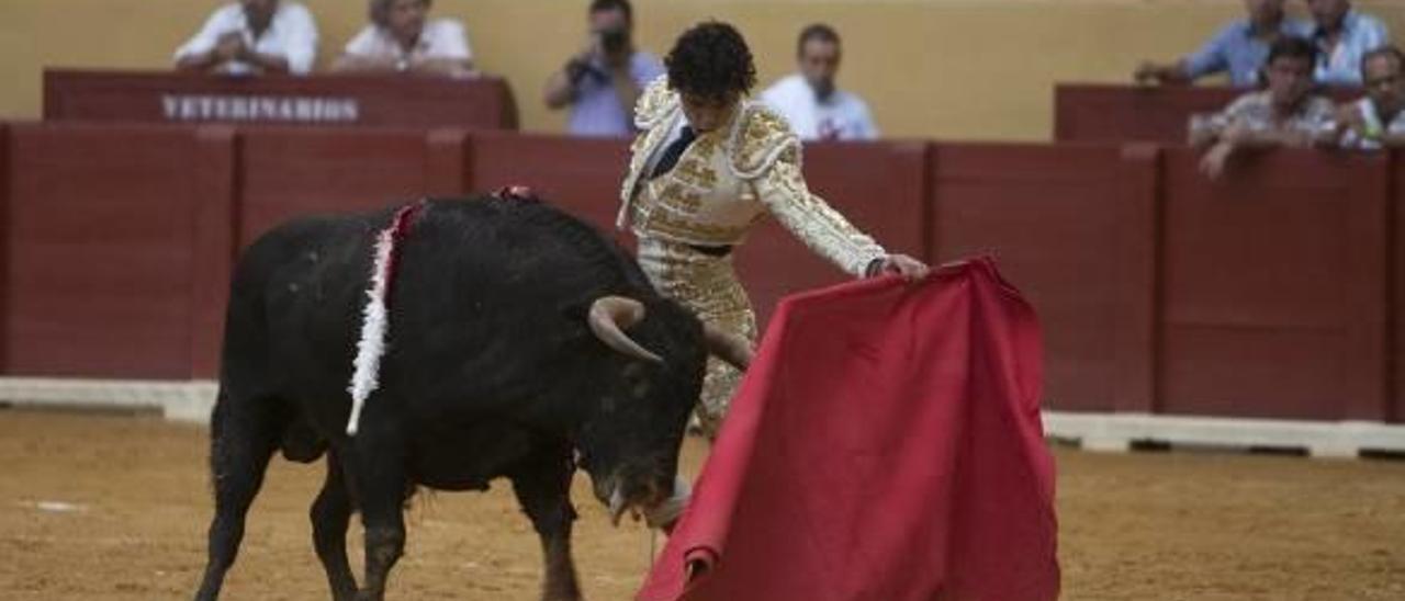 Los protaurinos avisan a los concejales de que si prohíben los toros estarán prevaricando