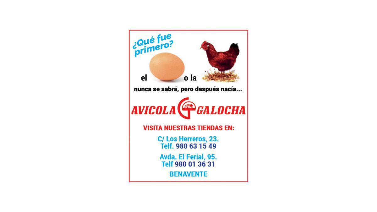 Avícola Galocha