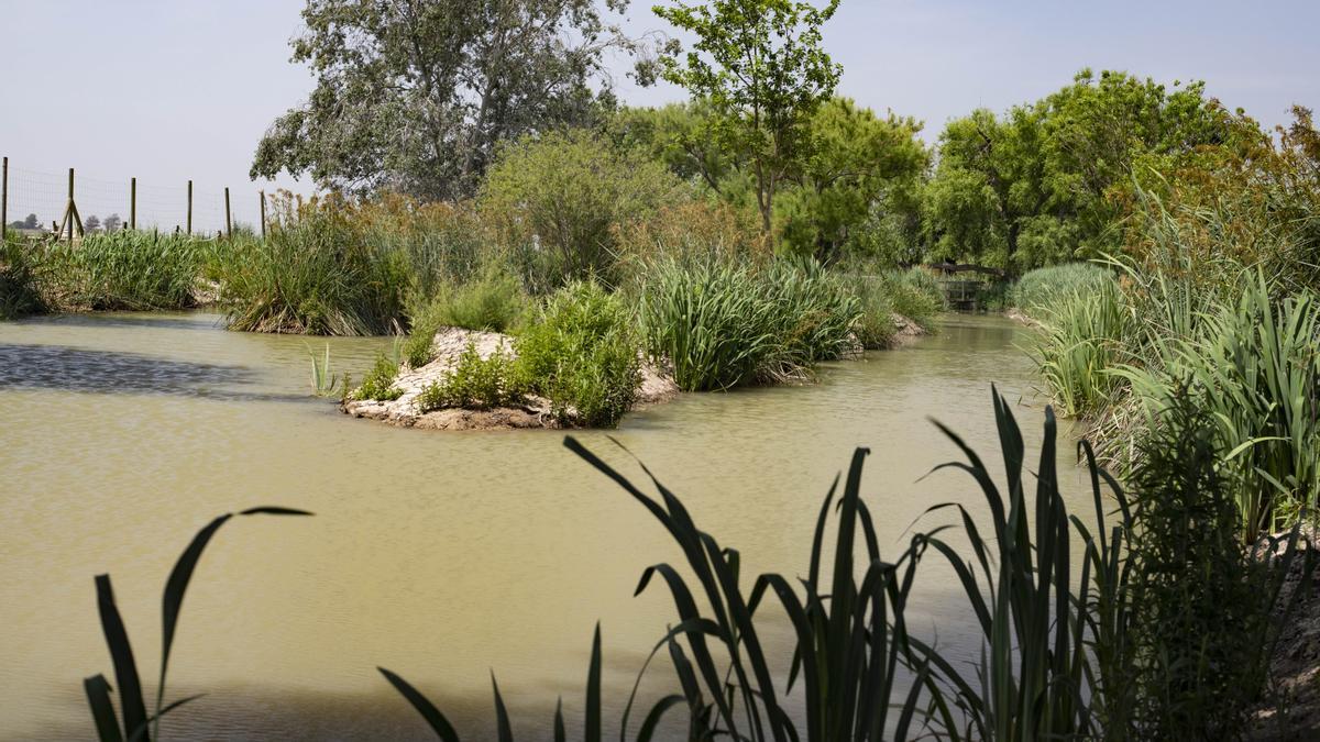 La laguna con un alto nivel de agua