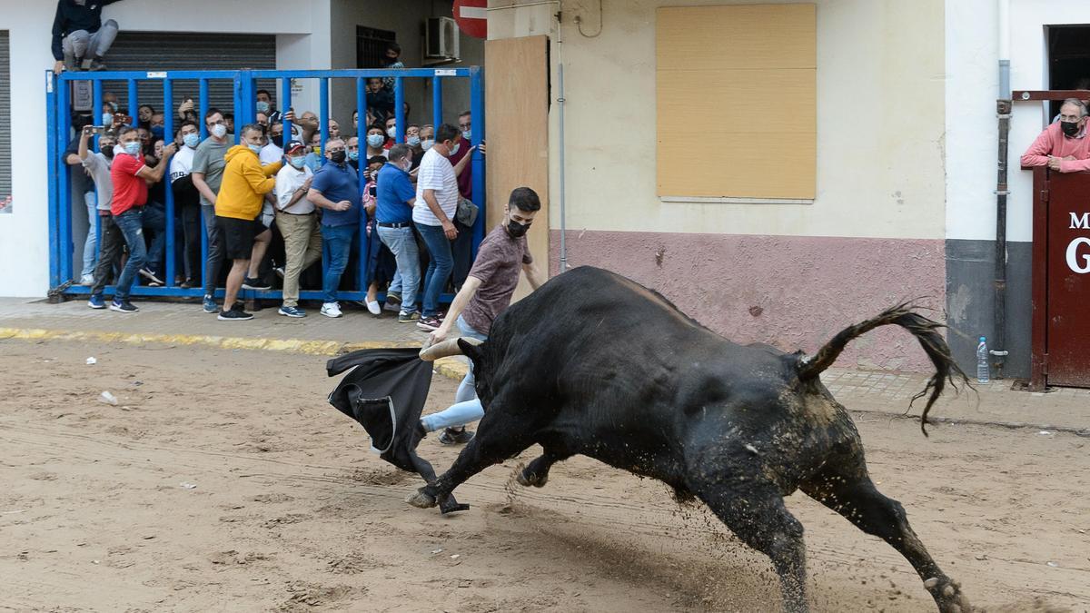 La afición ha podido medirse con astados de ganaderías de gran prestigio.