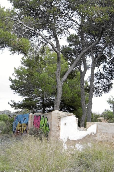 In Es Carnatge, dem letzten unverbauten Küstenabschnitt Palmas, aasten einst die Geier. Nun soll hier ein Park entstehen.