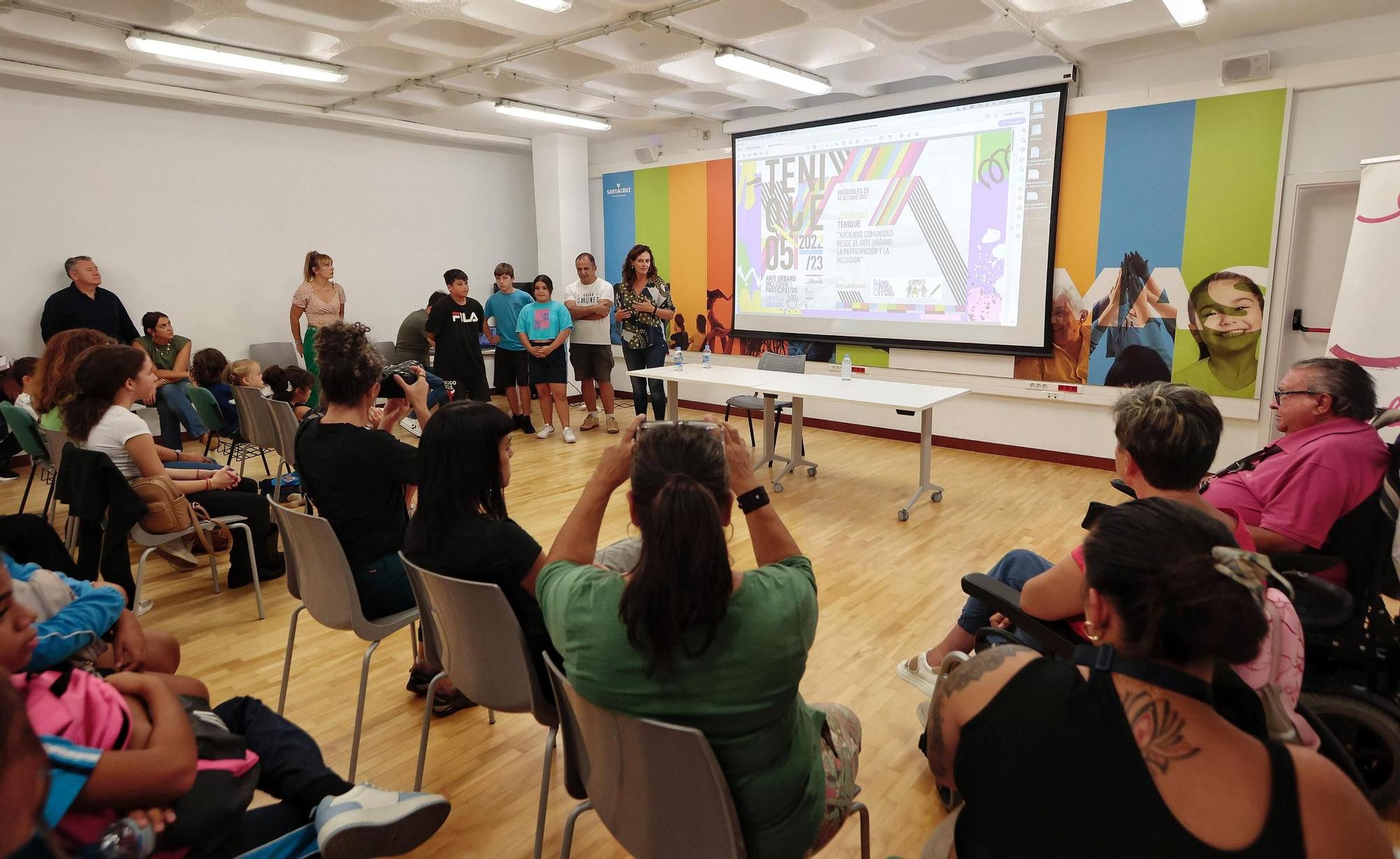 Presentación de los objetivos y retos del proyecto Tenique, del IMAS