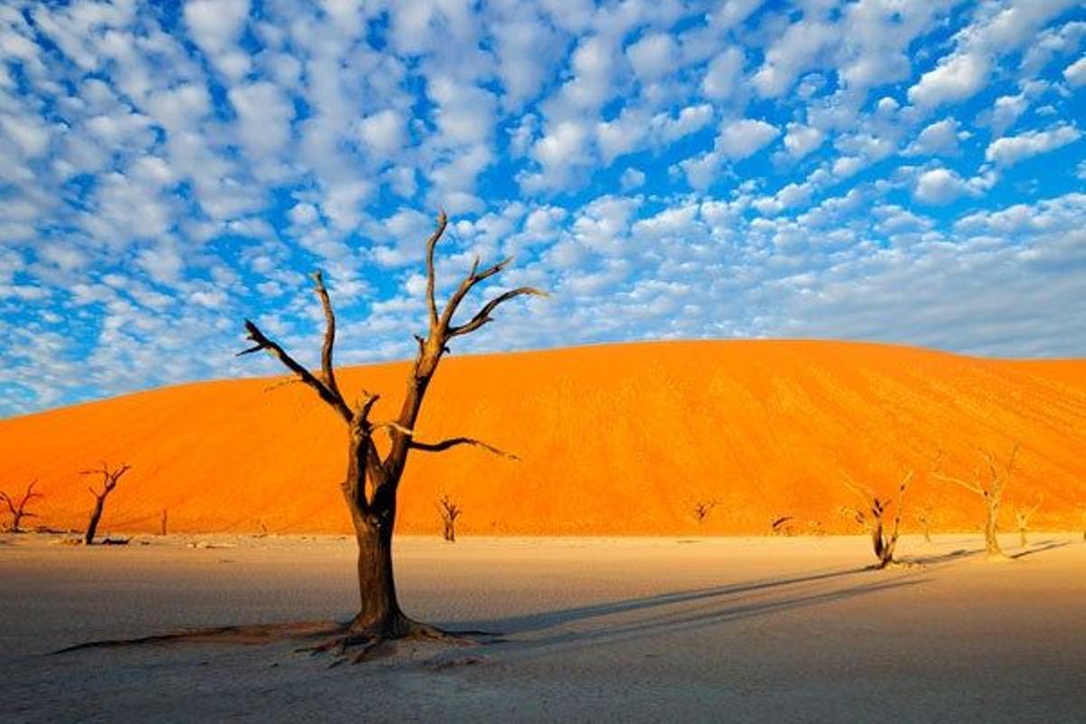 Arenal Namib (Namibia)