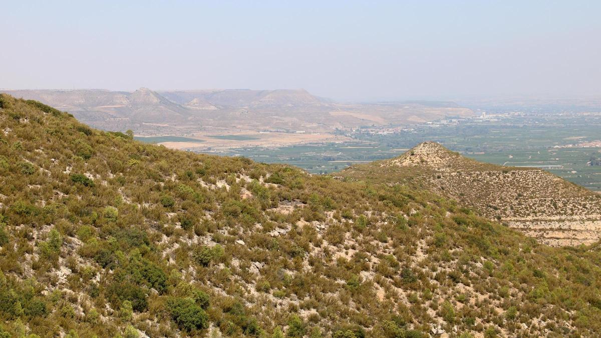 Vistes dels plans de Montmaneu, un dels llocs idonis per observar l'eclipsi des del Baix Segre.