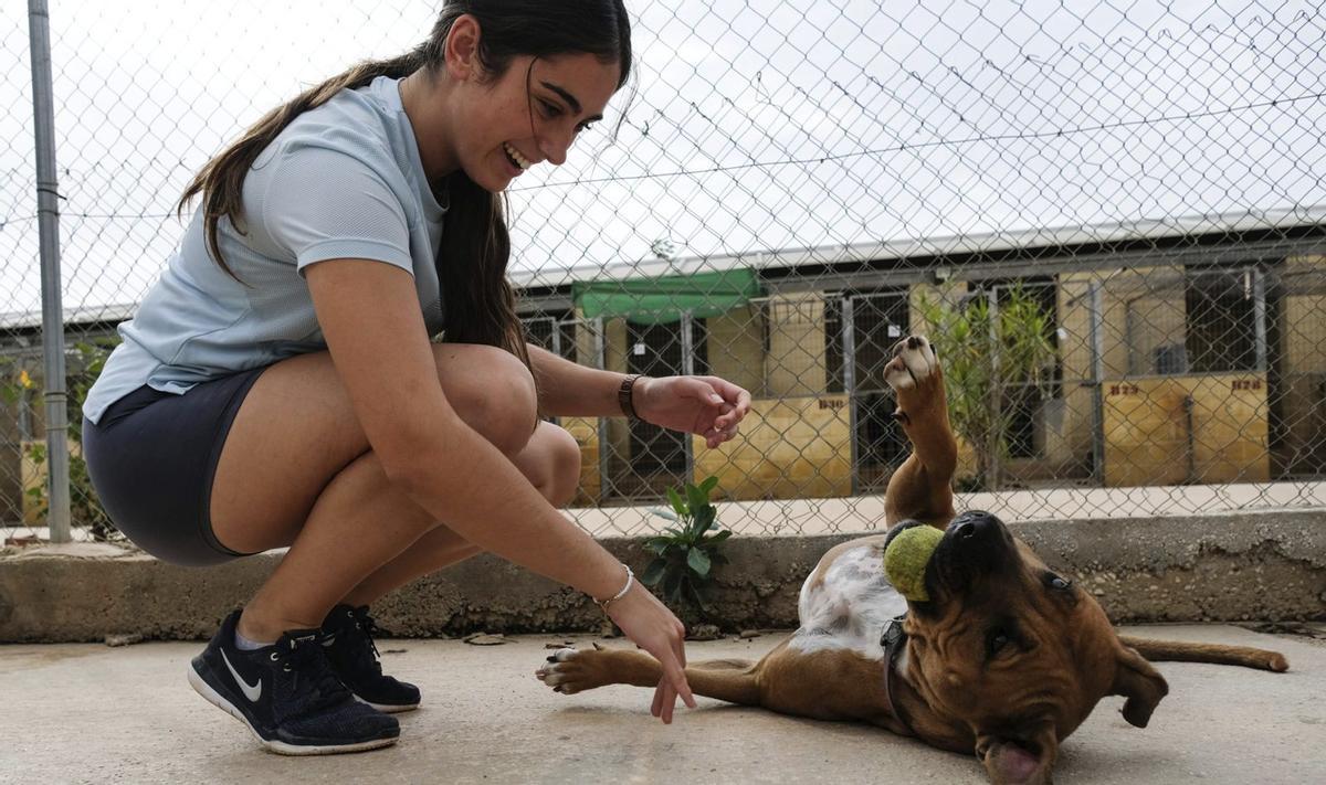 Sociedad Protectora de Animales de Málaga. | L.O