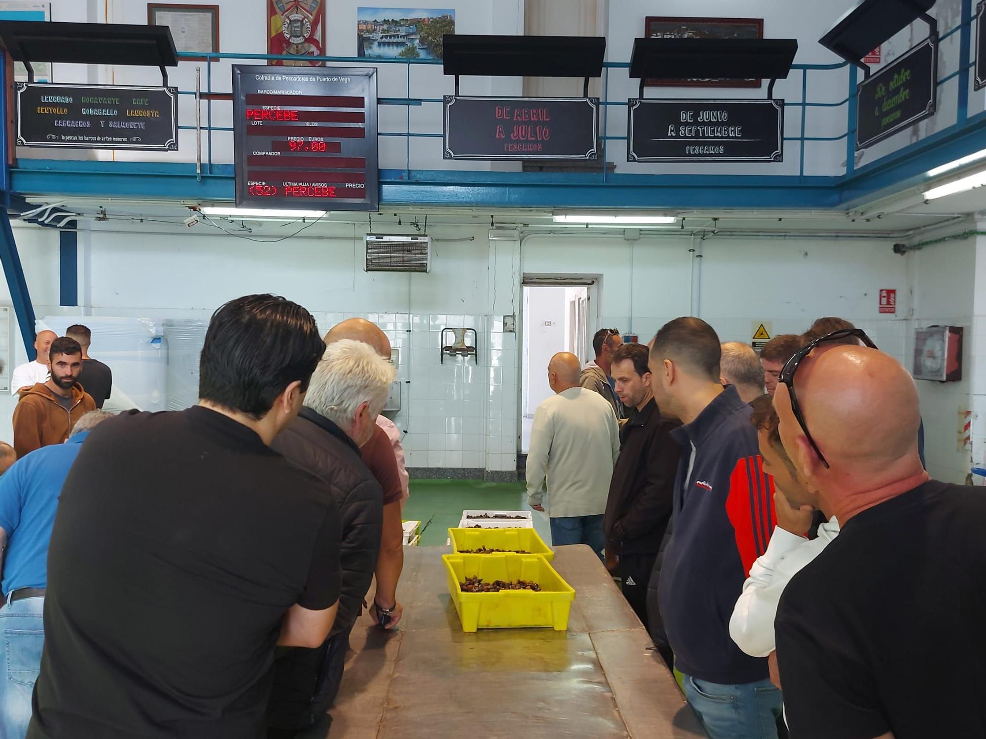 En imágenes: La primera subasta de percebe de la temporada en la rula de Puerto de Vega