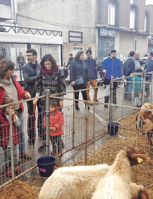 Sa Pobla vive su feria bajo el paraguas