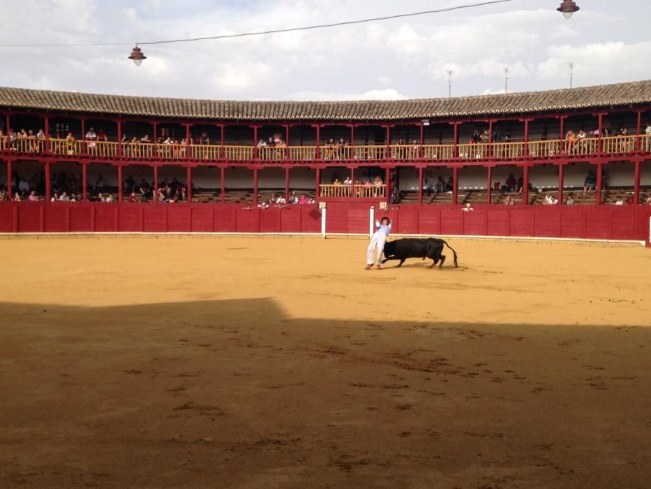 Fiestas Toro- concurso de jóvenes cortadores