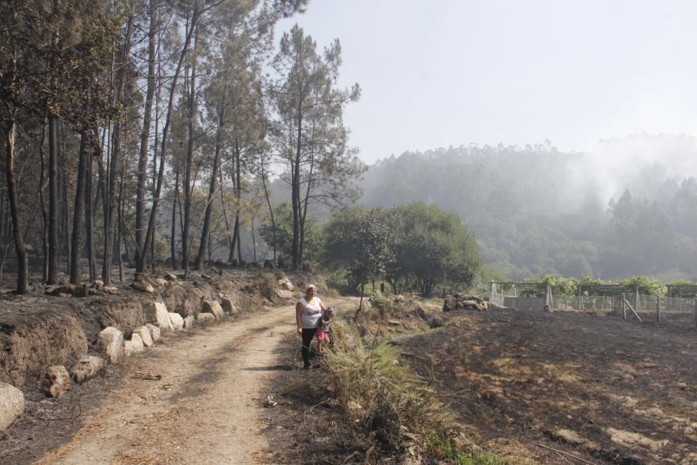 Incendios en Galicia | Vecinos de Cotobade intentan alejar el fuego de sus casas