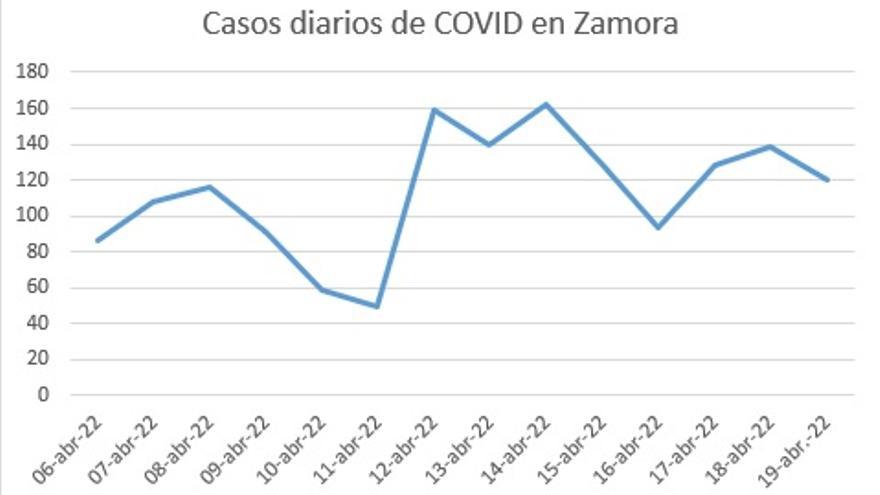 Incidencia COVID en Zamora: Evolución de casos diarios en las últimas dos semanas