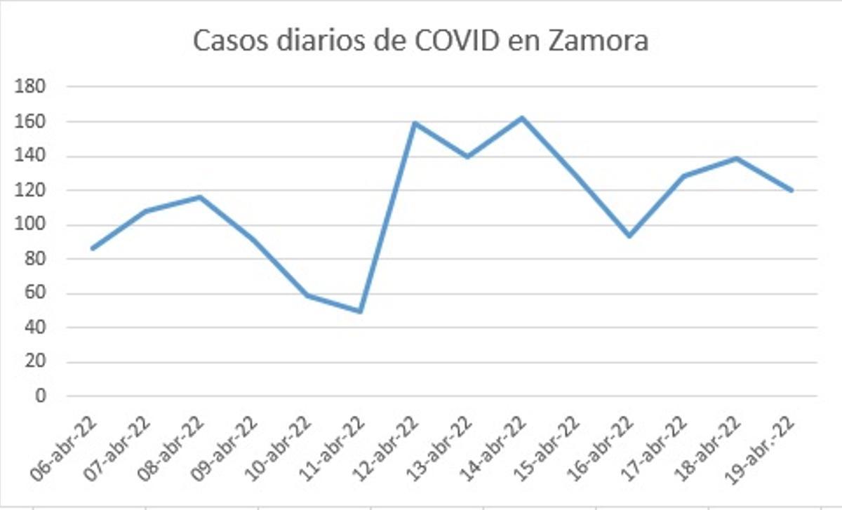 Incidencia COVID en Zamora: Evolución de casos diarios en las últimas dos semanas