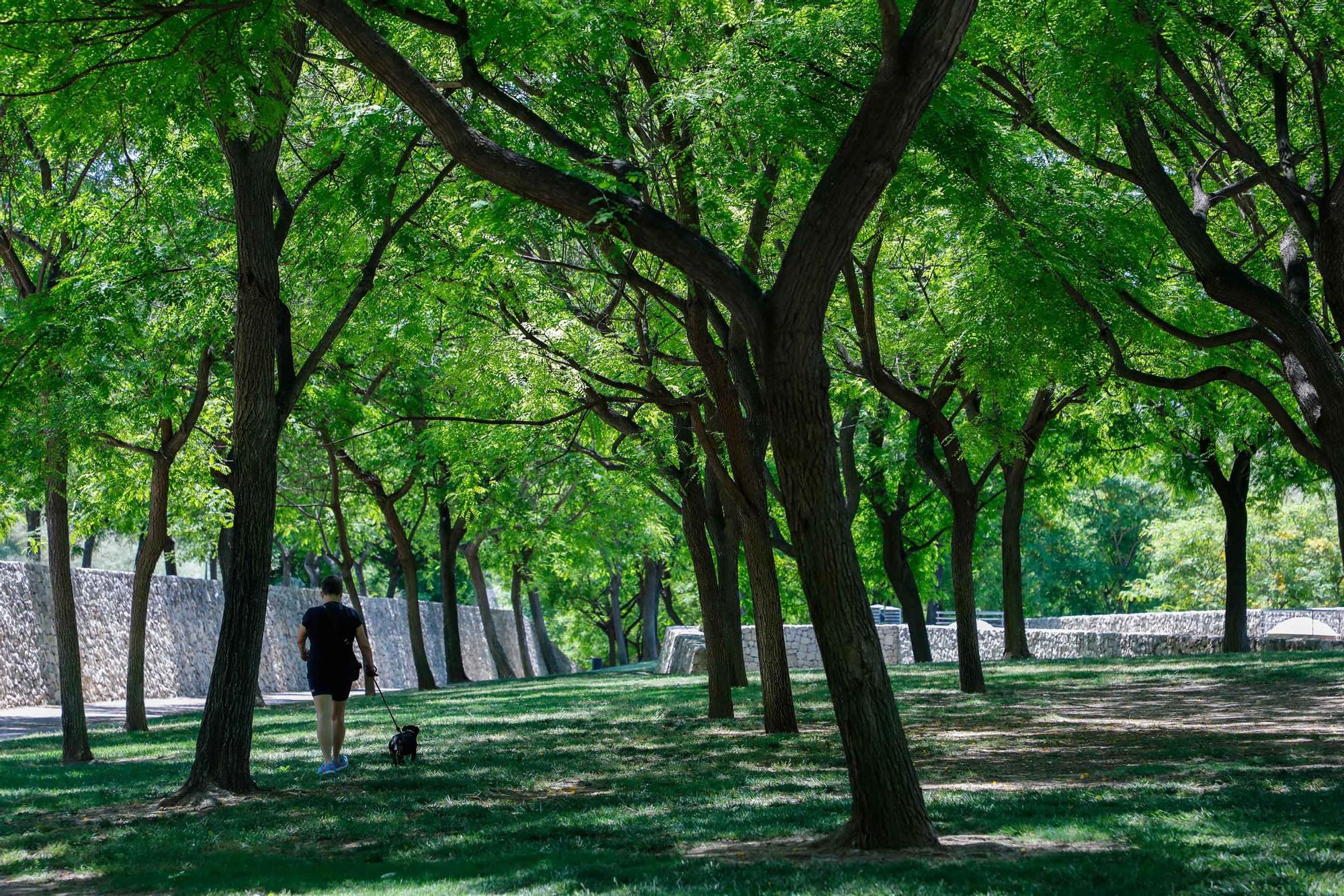 Parque de Cabecera, uno de los pulmones de València