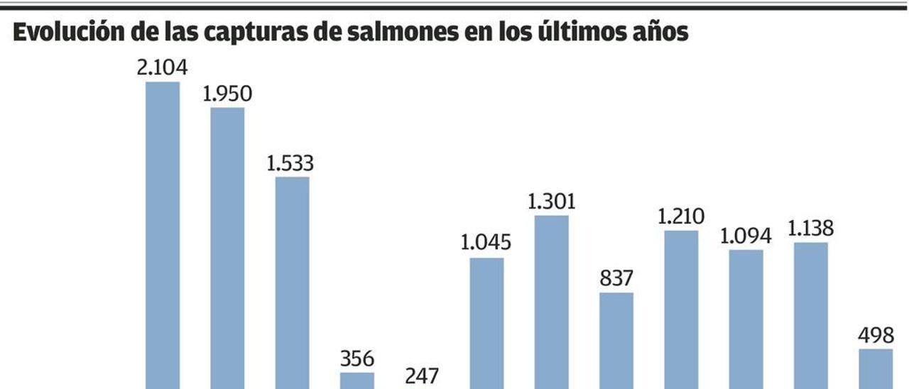 El salmón ya no remonta