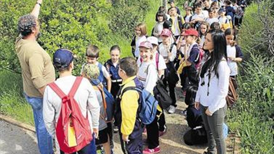 Finalizan las visitas de niños al Toll d’Ascla