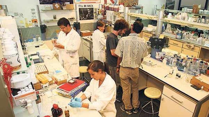 Investigadores, en un laboratorio del campus vigués.  // J. de Arcos