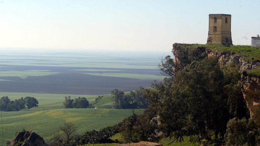 Vista general de los campos del municipio de Carmona. / El Correo