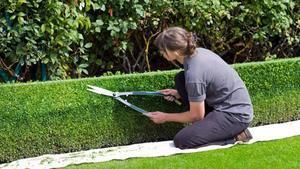 Tanca vegetal que delimita un habitatge