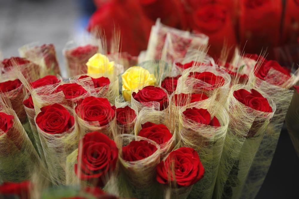 Diada de Sant Jordi 2019 a Girona.