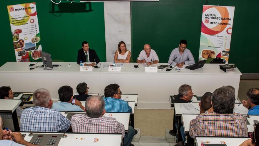 Sesión de la Lonja de Ovino de Mercamurcia, que se celebró con motivo de la jornada de promoción organizada por Interovic.