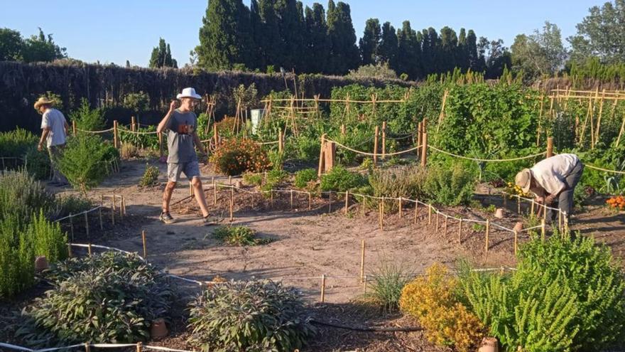 «La Tardor als horts» de Castelló programa activitats de sensibilització