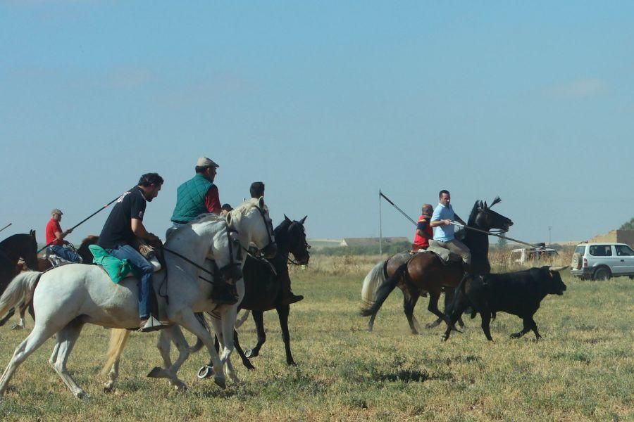 Villalpando despide los toros