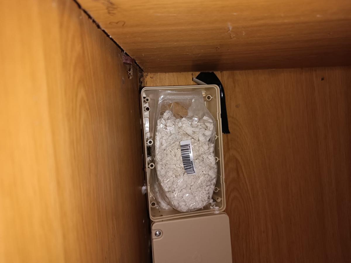 El invierno dispara las alertas por termitas en Galicia: devoran la ciudad y el rural