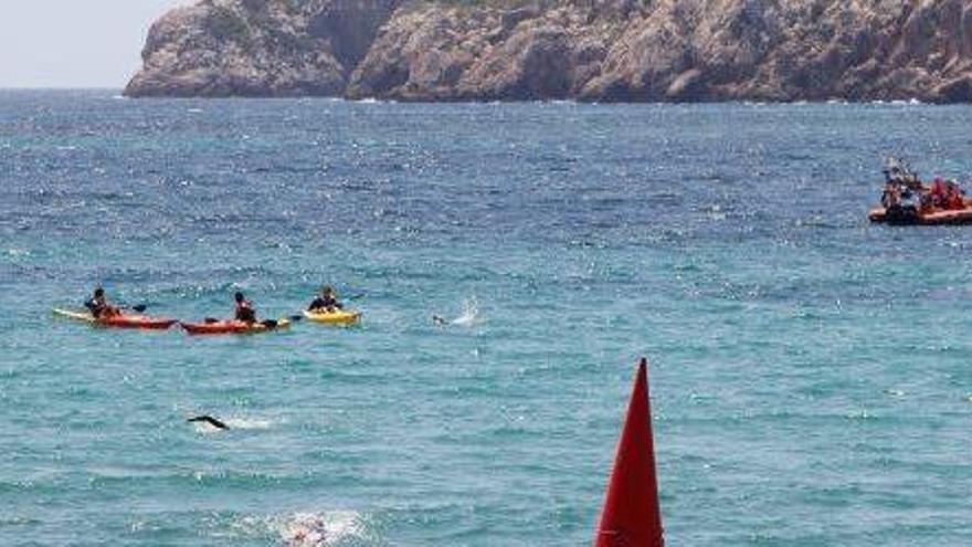 Ibiza logra ocho banderas azules para playas y tres para marinas deportivas