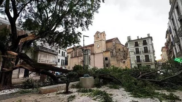 El viento y una intensa tormenta provocan caídas de ramas e incidencias en varios puntos de Alzira