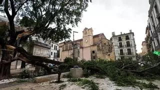 El viento y una intensa tormenta provocan caídas de ramas e incidencias en varios puntos de Alzira
