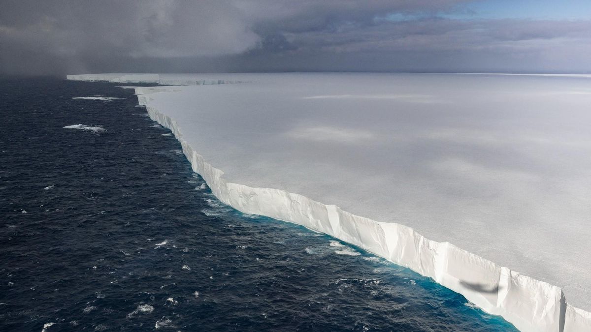 Es desintegra l’iceberg més gran del planeta, de la mida de Mallorca Es desintegra l’iceberg més gran del planeta, de la mida de Mallorca