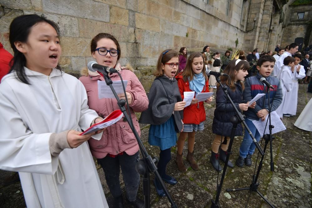 Semana Santa en Pontevedra 2016 | La Burrita recupera el recorrido entre la iglesias de San José y la escalinata de San Francisco