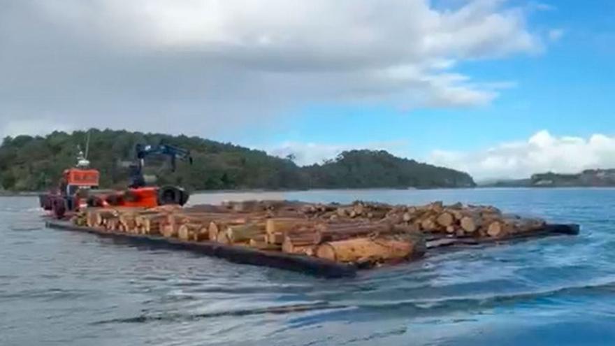 Es la primera vez que Illas Atlánticas utilizó un remolcador y una batea para transportar a tierra los árboles talados en Cortegada.