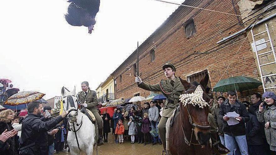 La calle de Las Relaciones homenajea a la fiesta del gallo en Guarrate.