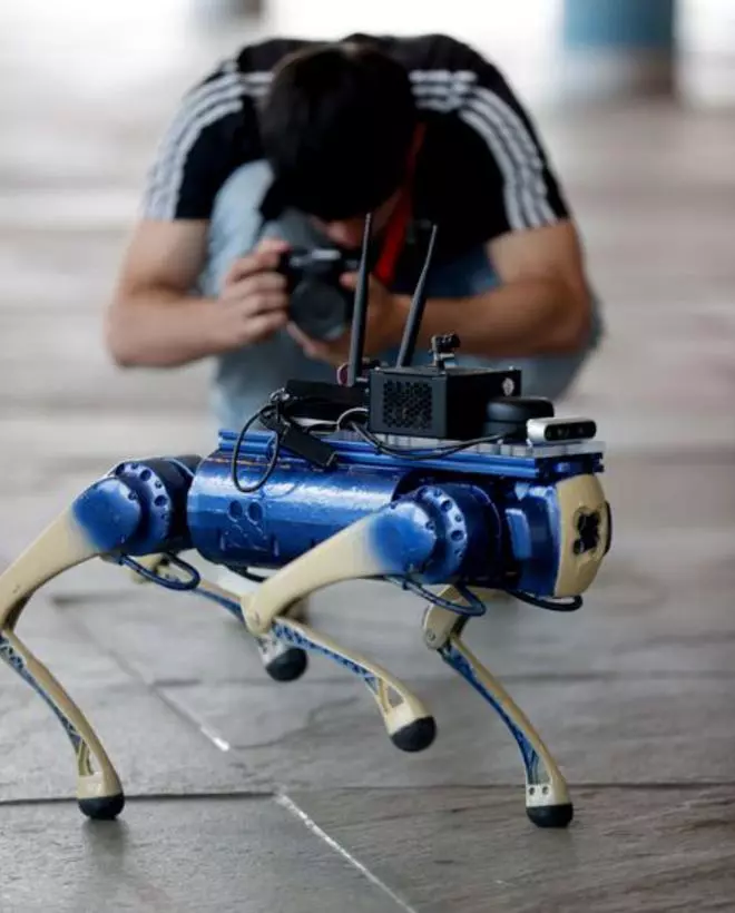Presentan en Galicia un perro robot con inteligencia artificial como apoyo a invidentes