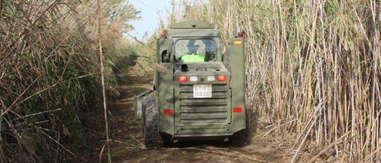 El Ejército busca en un cañar de Massanassa  el cadáver de un hombre asesinado en 2014