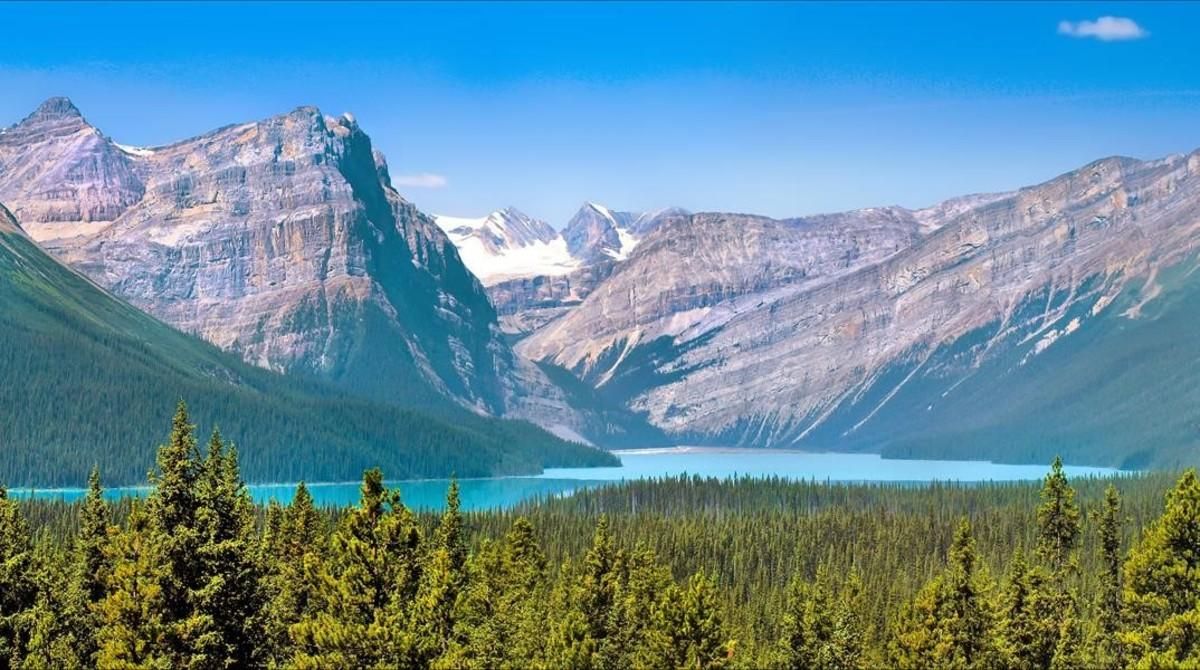 icoy35720819 canada jasper160929190303 icoy35720819 canada jasper160929190303