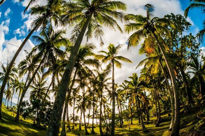 Razones para viajar a Nueva Caledonia