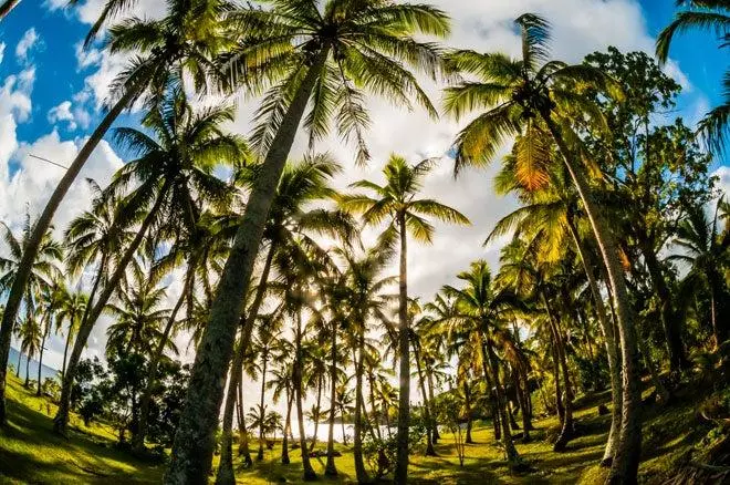 Razones para viajar a Nueva Caledonia