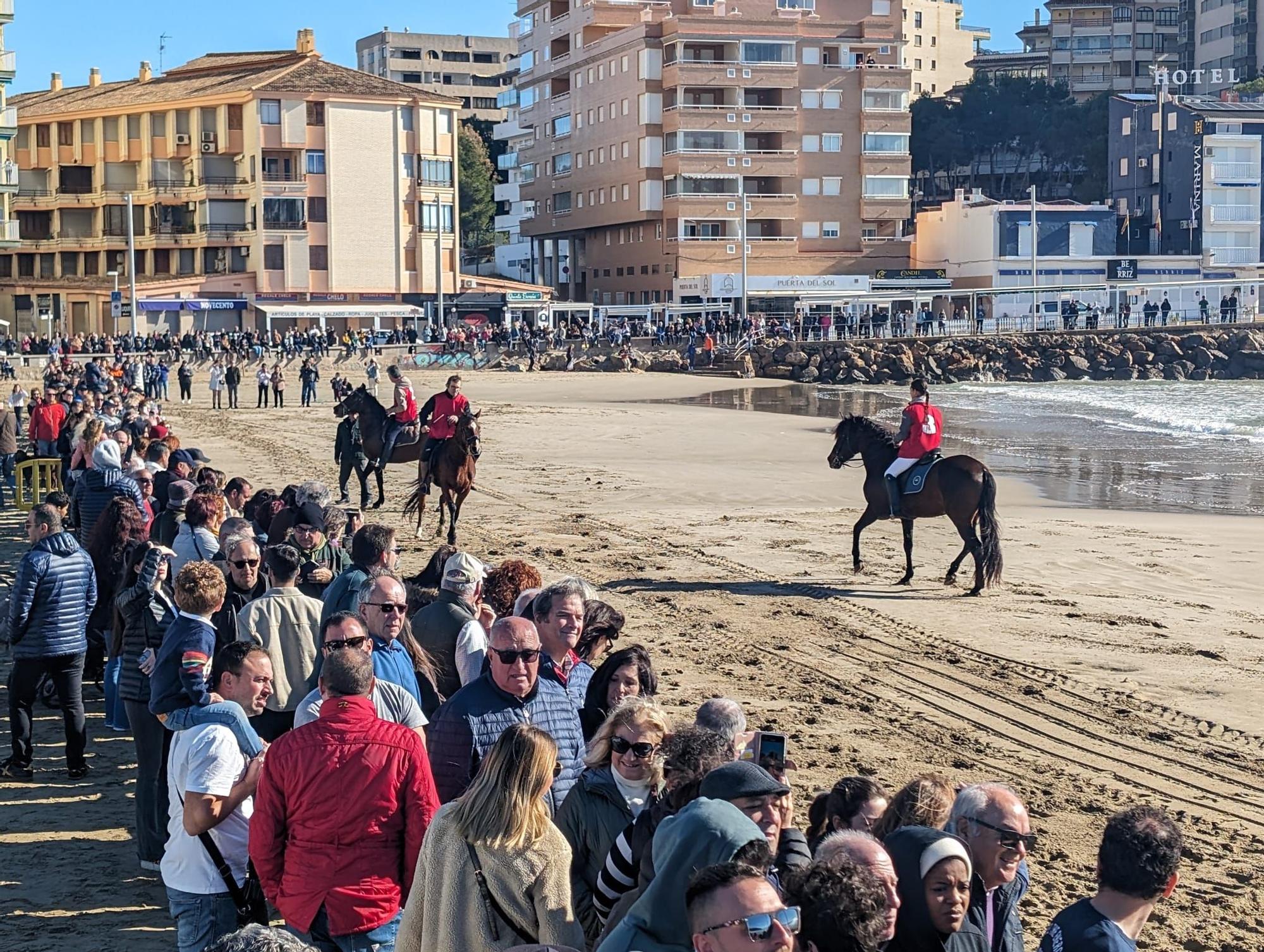 Las espectaculares imágenes de la carrera de caballos y burros en Orpesa