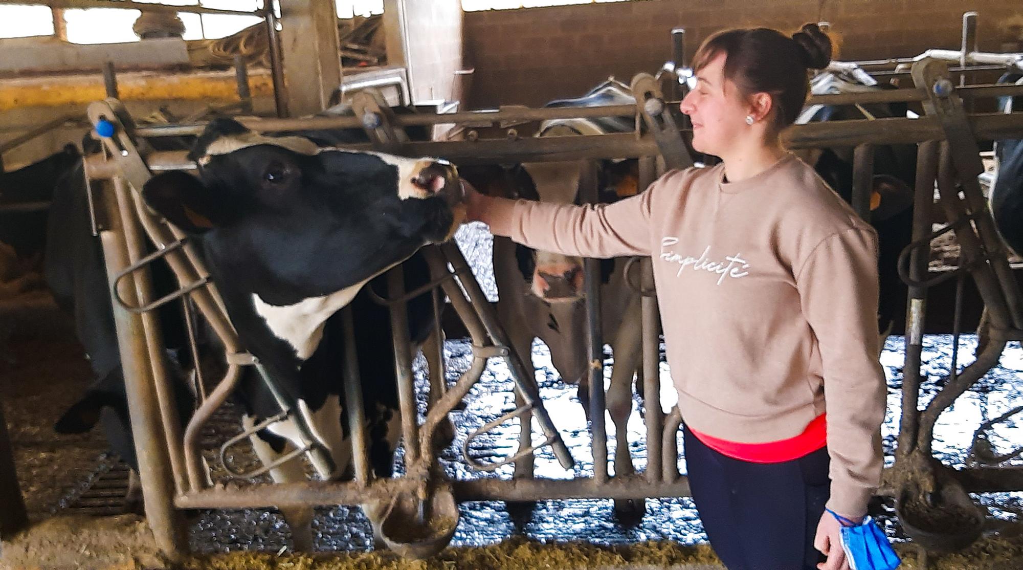 Beatriz Riesgo con una de las vacas de una ganadería de leche en Salas.