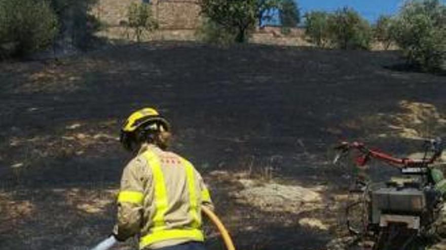 Els Bombers remullant la zona afectada a Vilajuïga