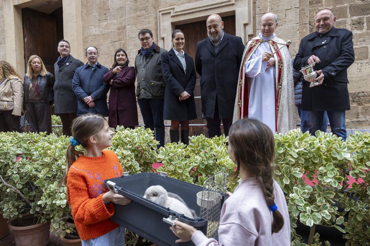 PALMA. BENEIDES DE PALMA 2026.