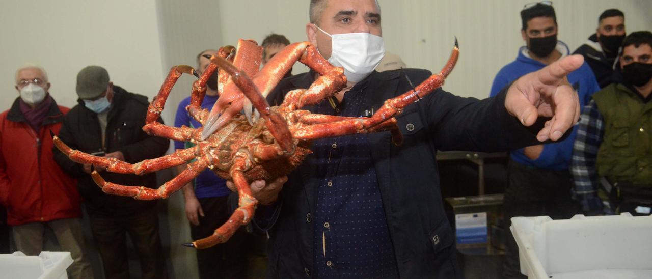 El hostelero Pablo Agrelo sostiene un centollo en la lonja de O Grove.