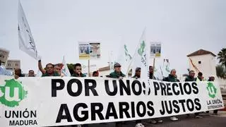 La Unión lleva a Mérida la crisis de la aceituna y critica la rebaja de impuestos a Almaraz: "Esos 25 millones de euros están mejor en manos de aceituneros"