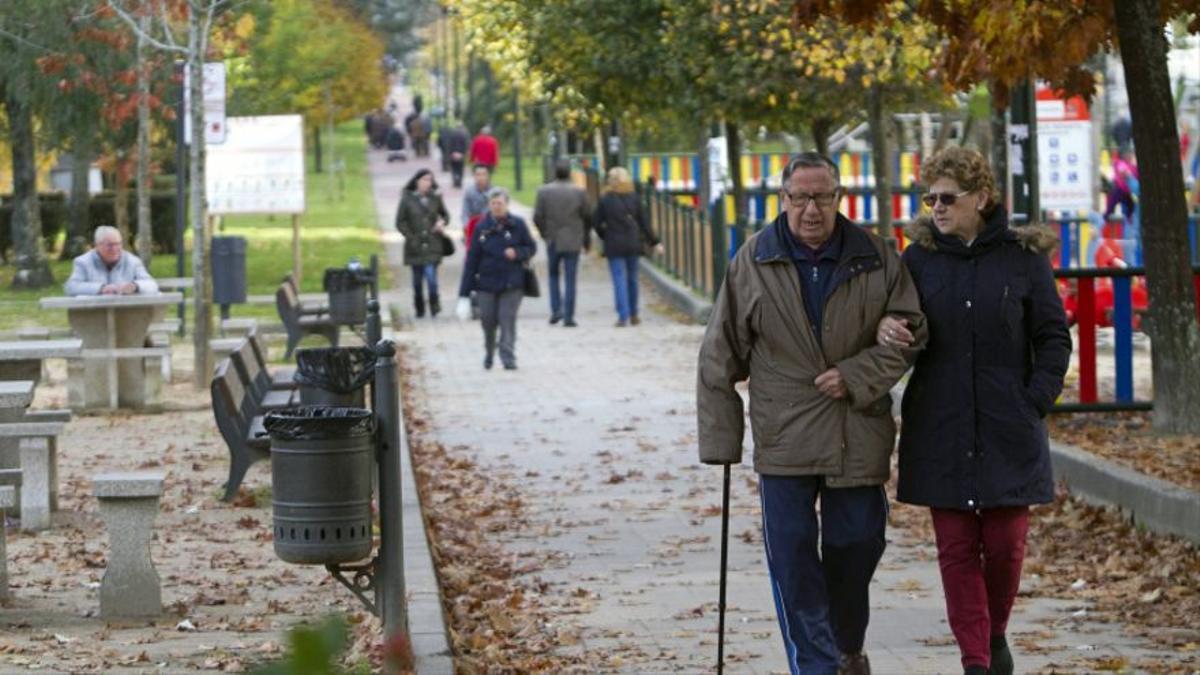 Una pareja mayor pasea por un parque.