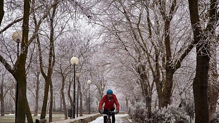 Un ciclista pasea por el parque de Olivares. | J. L. F.