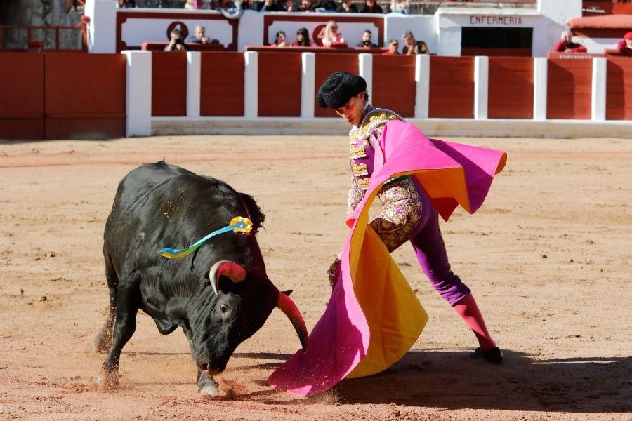 Tarde de toros en Zamora